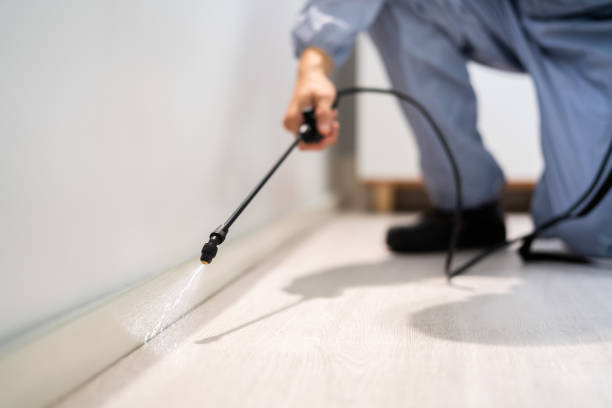 Licensed Pest Control service in East Liverpool, OH - Show Me Pest Control