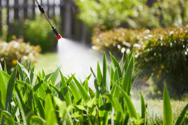 24/7 Emergency Mosquito Control experts in East Liverpool, OH