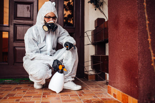 Reliable Mosquito Control contractor in East Liverpool, OH by Show Me Pest Control
