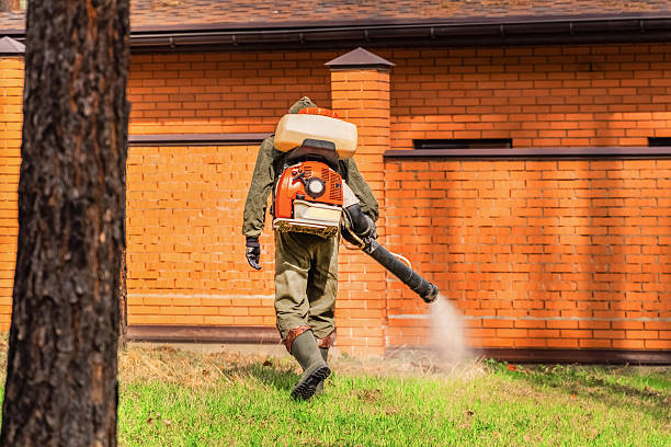Top rated local Mosquito Control specialists in East Liverpool, OH